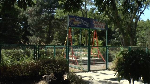 Потомственный баянист Петр гарцует!Приморский парк-пляж. смотреть онлайн