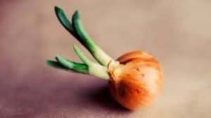 Ритуал Как насолить  и отомстить врагу своему