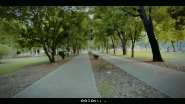 | Ramna park Dhaka | VLOG NS | vlag 2 #afridi #vlog2 смотреть онлайн