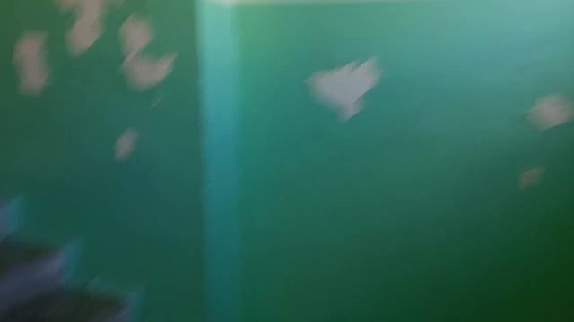 ВП-31? Лифт Самарканд 1980г.в. Q=320кг, V=0'71м/с (г. Екатеринбург) смотреть онлайн