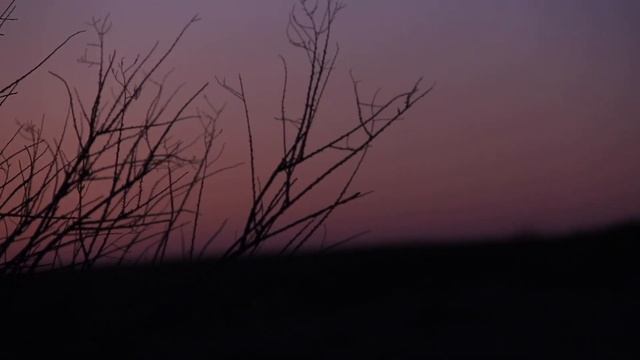 Рыбалка/Каратал/Алматинская область/Казахстан смотреть онлайн