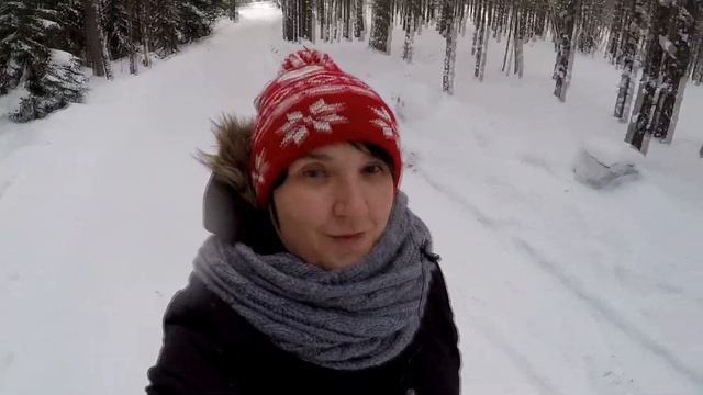 #Карелия | из Санкт-Петербурга в Карелию на автомобиле #Алавойне | Лес | Цвергпинчер Баффи смотреть онлайн