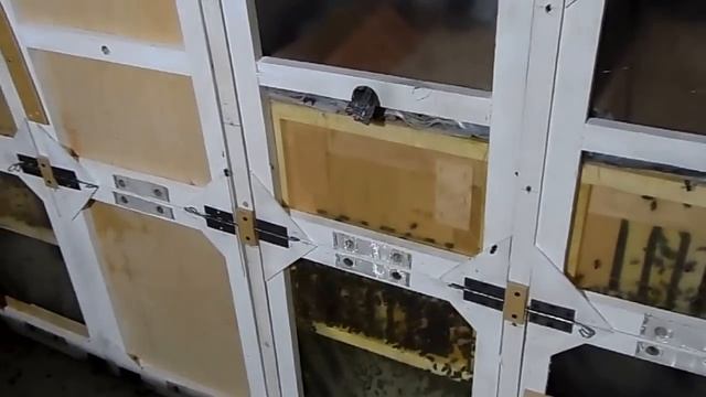 28 Как сделать кассетный улей аналог Берендей от А до Я. Важно! Ошибки которые я допустил! смотреть онлайн