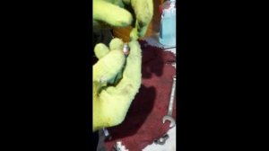 Ремонт и обслуживание снегоуборщика Champion ST1170E 11 л.с.