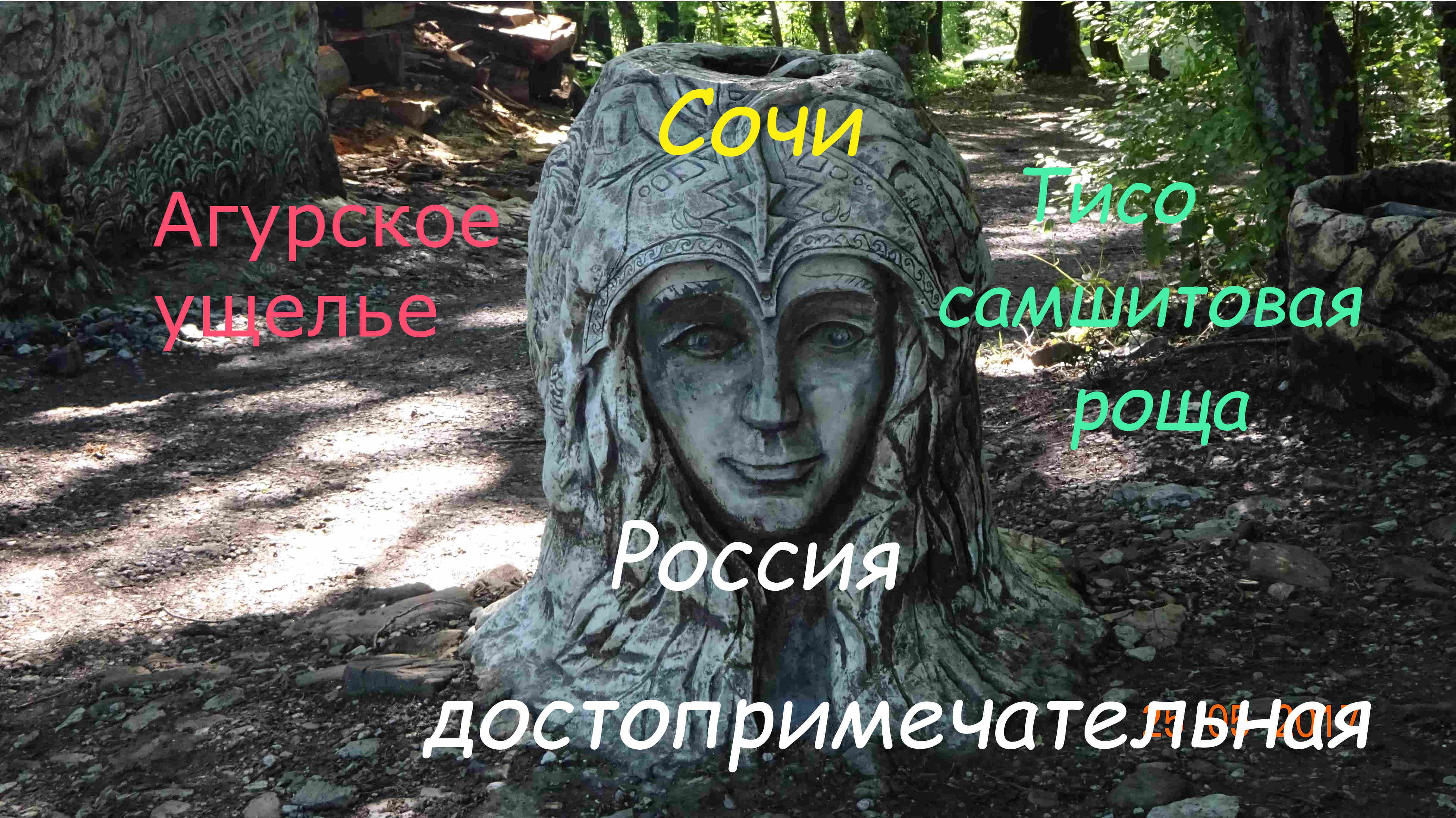 Сочи Национальный парк смотреть онлайн