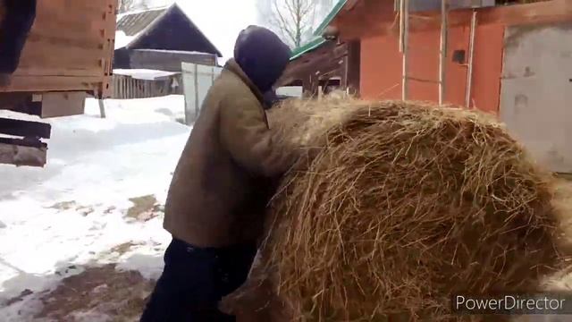 Мы СПАСЕНЫ! Привезли СЕНО, теперь нам ХВАТИТ ? смотреть онлайн
