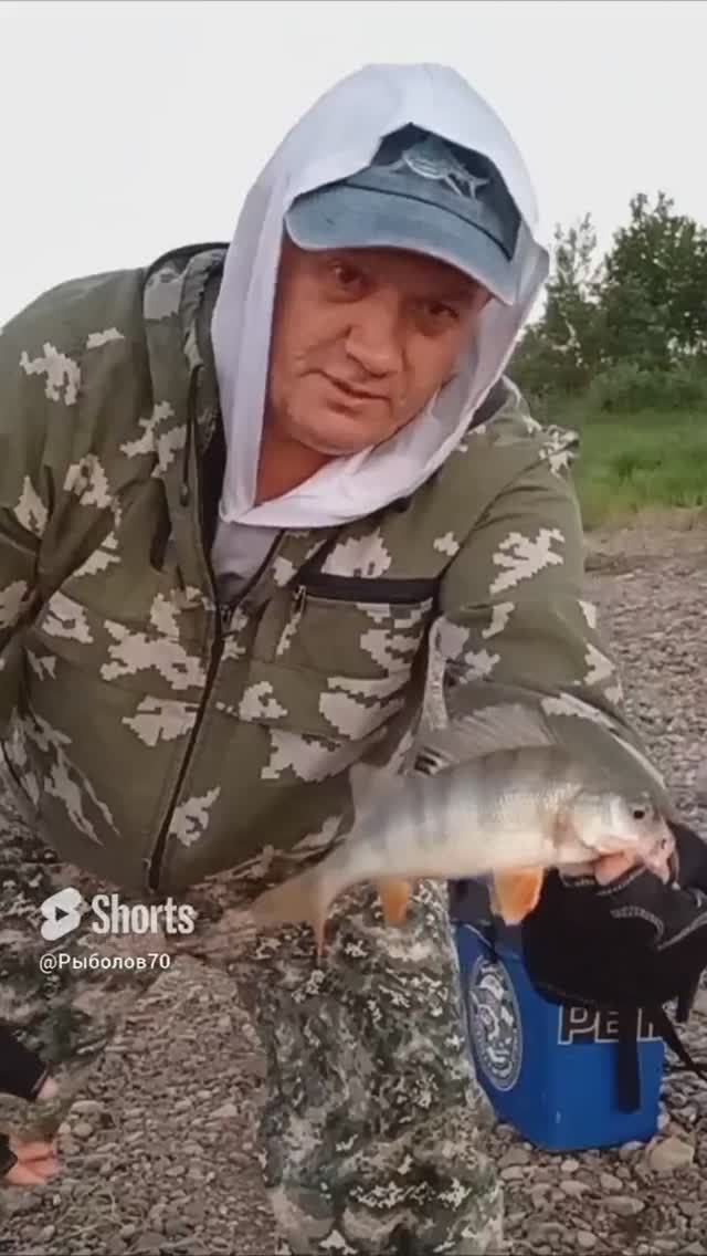 ОКУНЬ НА РЕЗИНКУ смотреть онлайн