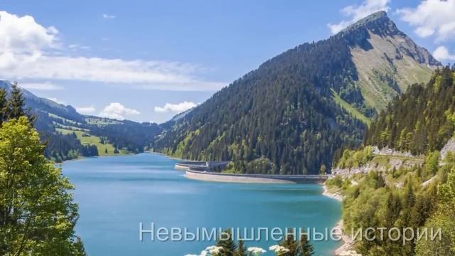 Под сердцем Вики уже зарождалась новая жизнь, когда она случайно услышала то, что не должна была... смотреть онлайн