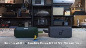 Bose Soundlink Flex vs Soundcore Motion 300