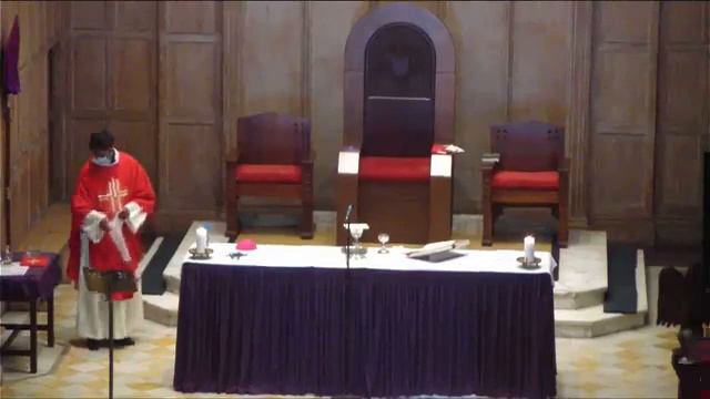 Palm Sunday Mass celebrated by Archbishop Stephen Brislin смотреть онлайн