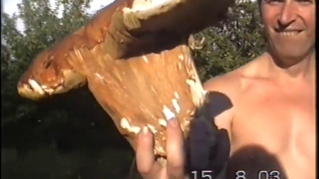 Большой белый гриб 1,3 кг