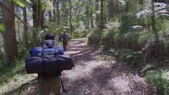 Dandenong National Park смотреть онлайн