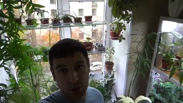 Лайфхаки для Ежедневной Жизни