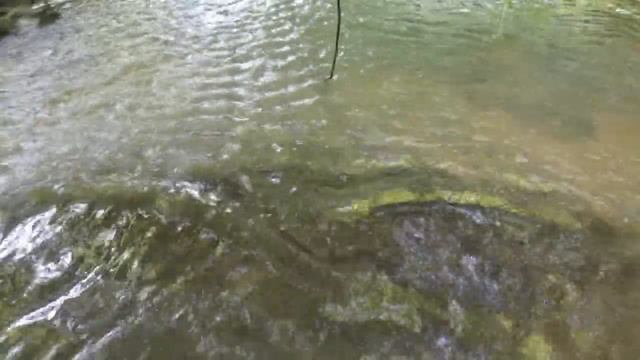 WW2 Secret found magnet fishing UK смотреть онлайн