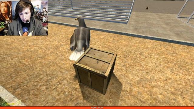 CRAZY FUN PILLS IN HIGHSCHOOL!! - Gmod Parakeet's Pill Pack Mod (Garry's Mod) смотреть онлайн