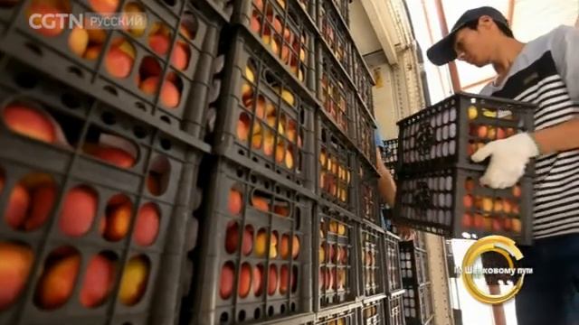 Возрождение Шелкового пути - Хоргос [Age 0+] смотреть онлайн