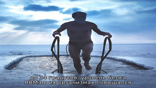 Как холодная вода спасает от деменции смотреть онлайн