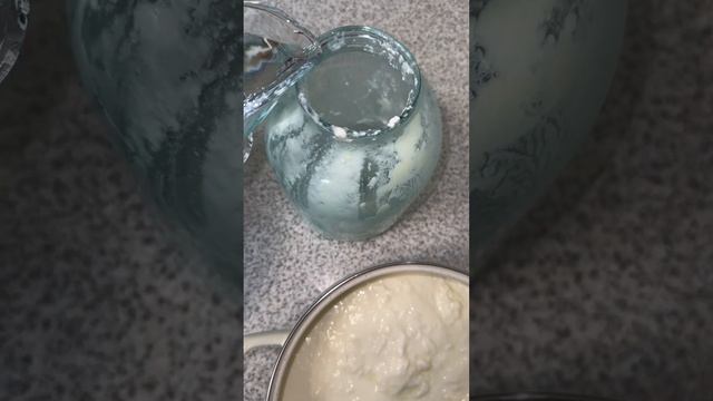 Знаменитый белый суп из заквашенного коровьего молока (Довга)-Dovga
