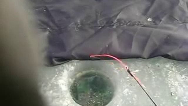 зимняя рыбалка на реке Маныч, х Новолуйский. 2011г. смотреть онлайн