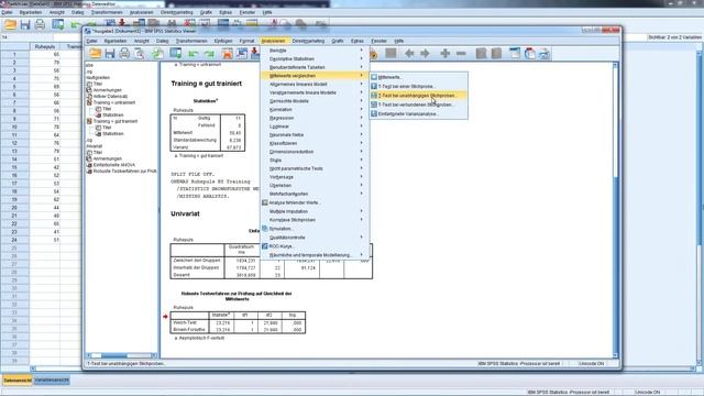 Welch-Test: T-Test bei ungleichen Varianzen in SPSS - Daten analysieren in SPSS (38) смотреть онлайн