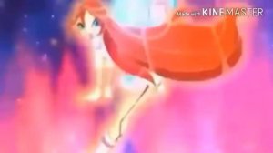 Винкс все опенинги от 4Kids