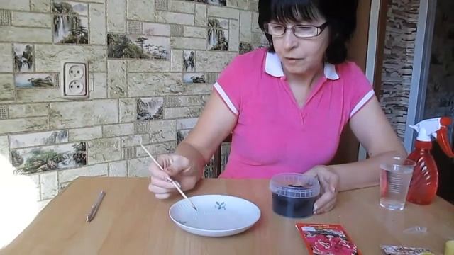 Петуния. Посадка семенами на рассаду смотреть онлайн