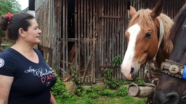 Обзор Любки? #horse #life смотреть онлайн