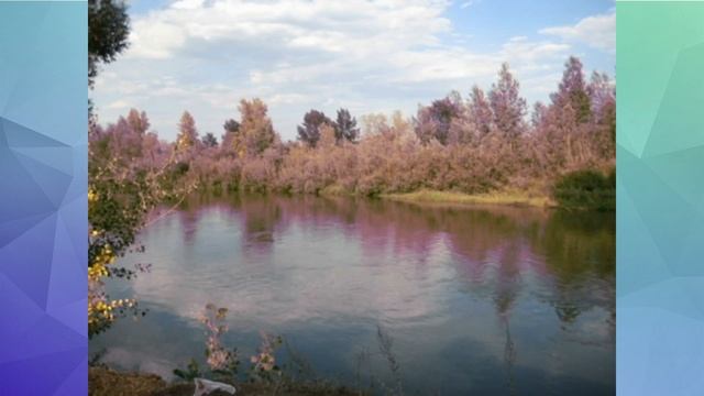 Локтевский район Алтайского края смотреть онлайн
