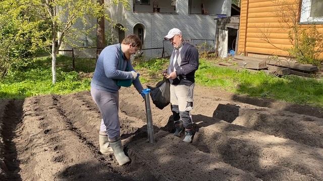 Как сажать картошку под укрывной материал ручной картофелесажалкой. смотреть онлайн
