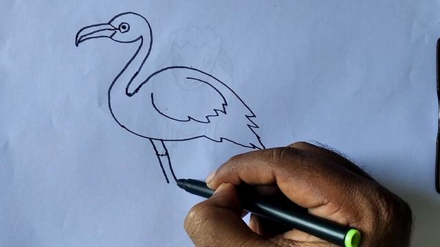 How to draw a flamingo /Flamingo drawing step by step /Flamingo bird drawing for kids /kids topic смотреть онлайн