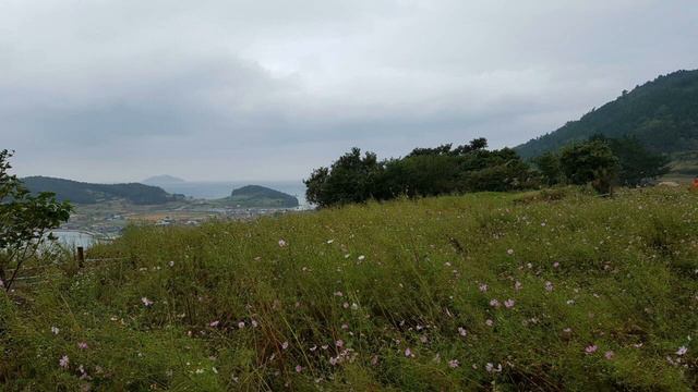 [섬 여행]청산도,청산도 둘러보기,섬 여행,청산도 여행,청산도에서 바다,섬 여행의 아름다움과 자연에 묻어 사는 느림의 미학을 배워 보련다 смотреть онлайн