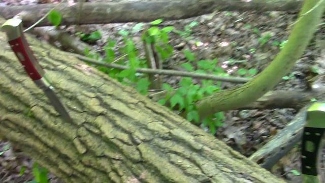 The Greatest Buck 110 Ever? (DLT Exclusive S35VN) - Preparedmind101 смотреть онлайн