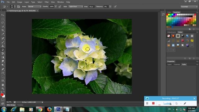 How To Use Art History Brush Tool In Adobe Photoshop смотреть онлайн