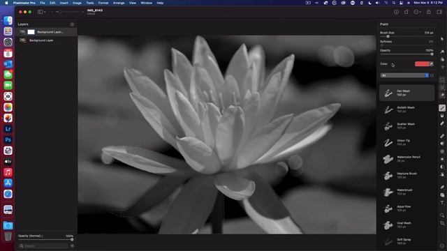 How to do a Color Splash in Photoshop & Pixelmator Pro смотреть онлайн