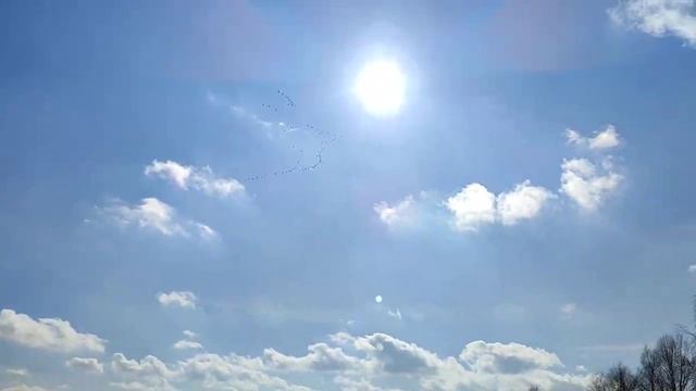 Ну что, гусятники, открываем сезон 2023 вблизи водохранилища #Селец в агроусадьбе Заезд #Зубачи смотреть онлайн