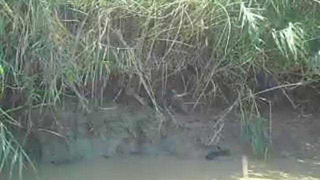 ТАМИК РЫБАК смотреть онлайн