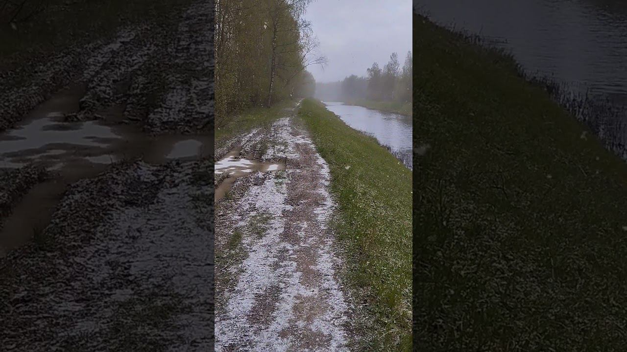 Снегопад на 9 мая. #рыбалка #fishing #fishingvideo #снег #снегопад #shortvideo смотреть онлайн