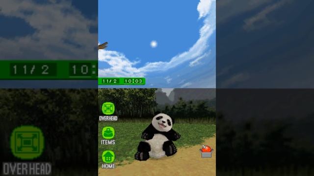 Nintendo DS || Petz - My Baby Panda Part 1 смотреть онлайн