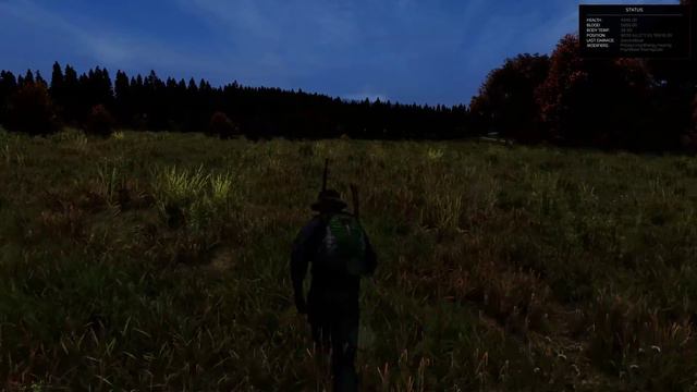 DayZ посмотрел .62 патч, встретил людей, а подох от стаи волков ) смотреть онлайн