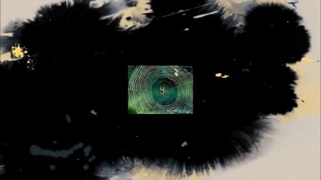 TUSHDA O’RGIMCHAK KO’RISH -  Тушда Ургимчак курса