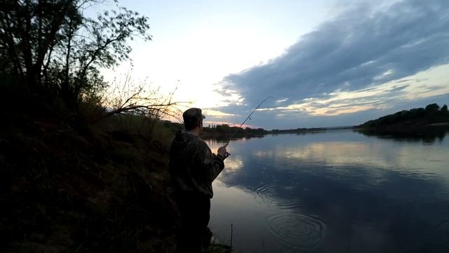 Жерех на перекате //aspius fishing!!! (выпуск №12) смотреть онлайн