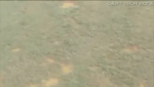Провал грунта. Giant Hole in the ground смотреть онлайн