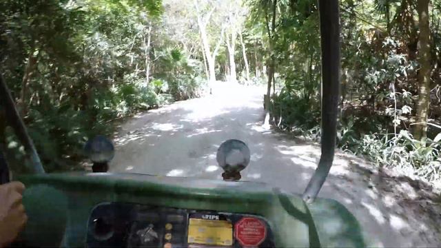 Приключение в Канкуне смотреть онлайн