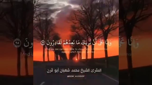 رَبِّ فَلَا تَجْعَلْنِي فِي الْقَوْمِ الظالمين HD - #حالات_واتس #محمد_شعبان_أبوقرن смотреть онлайн