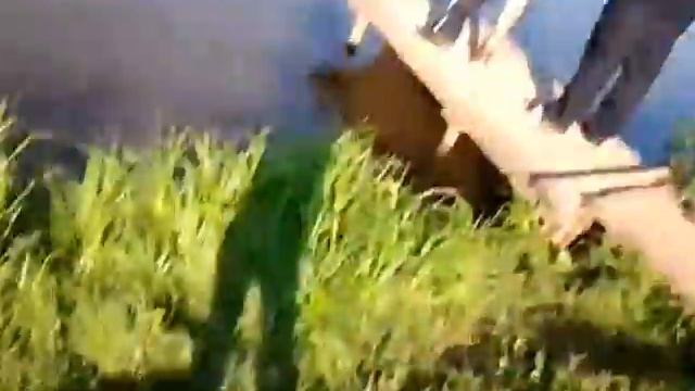 РЫБАЛКА В БУДЕННОВСКЕ ЮРИЙ смотреть онлайн