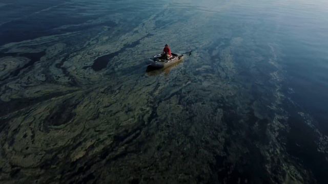 Цветущий Финик смотреть онлайн