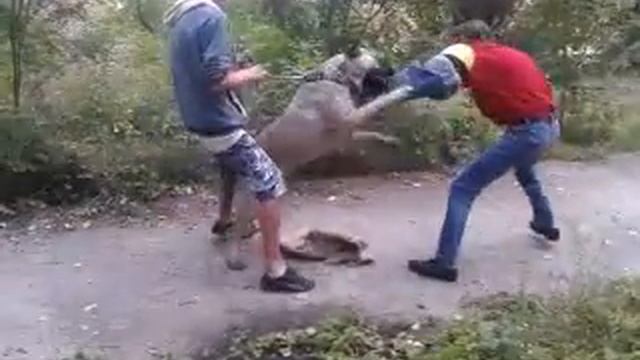 бурбуль 222 смотреть онлайн