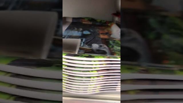 А в Кастораме уже и посуда!