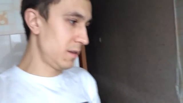 О родах собаки Лабрадора(тизер)