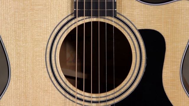 An American Guitar for Everyone? {Taylor 314ce} смотреть онлайн